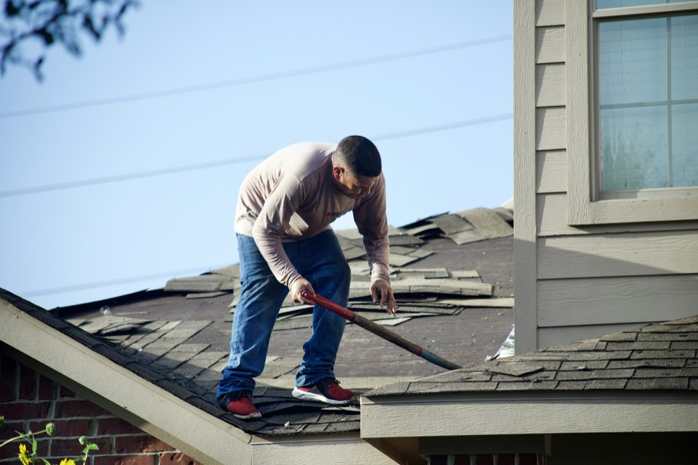 A roofer removing storm-damaged shingles from a house